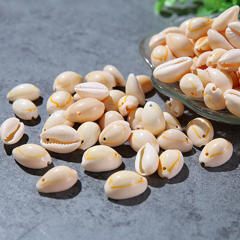 Single Hole Golden Edge Shell Conch Shell Electroplating Punching Shell Teeth Shell Shoes Hat Accessories Edging Shell Spot Single Hole Golden Edge Shell Conch Shell Electroplating Punching Shell Teeth Shell Shoes Hat Accessories Edging Shell Spot