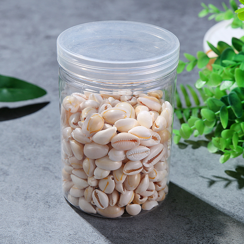 Single Hole Golden Edge Shell Conch Shell Electroplating Punching Shell Teeth Shell Shoes Hat Accessories Edging Shell Spot Single Hole Golden Edge Shell Conch Shell Electroplating Punching Shell Teeth Shell Shoes Hat Accessories Edging Shell Spot