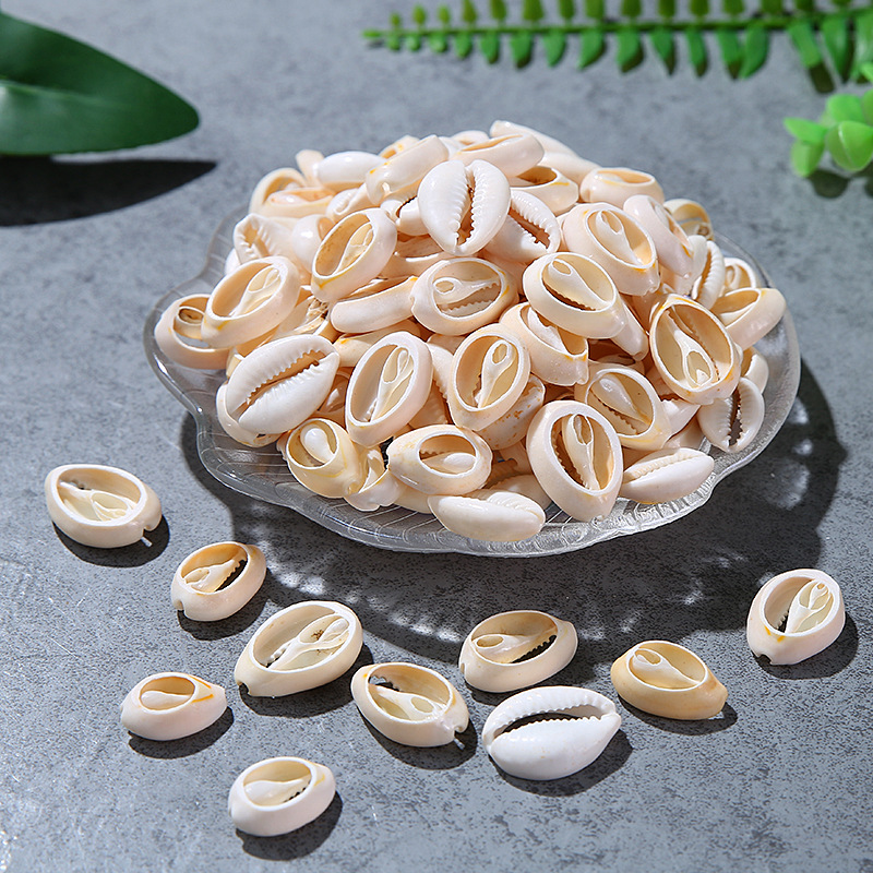Single Hole Golden Edge Shell Conch Shell Electroplating Punching Shell Teeth Shell Shoes Hat Accessories Edging Shell Spot Single Hole Golden Edge Shell Conch Shell Electroplating Punching Shell Teeth Shell Shoes Hat Accessories Edging Shell Spot