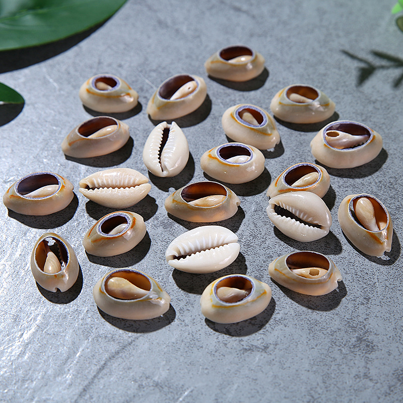 Single Hole Golden Edge Shell Conch Shell Electroplating Punching Shell Teeth Shell Shoes Hat Accessories Edging Shell Spot Single Hole Golden Edge Shell Conch Shell Electroplating Punching Shell Teeth Shell Shoes Hat Accessories Edging Shell Spot