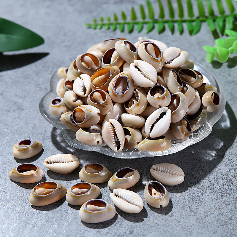 Single Hole Golden Edge Shell Conch Shell Electroplating Punching Shell Teeth Shell Shoes Hat Accessories Edging Shell Spot Single Hole Golden Edge Shell Conch Shell Electroplating Punching Shell Teeth Shell Shoes Hat Accessories Edging Shell Spot