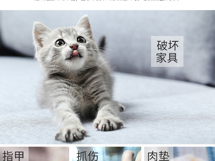 Leyoupai Boxed Double-Sided Three-Piece Flat Plate Cat Toy Cat Grinding Claw Cat-Related Products Corrugated Paper Cat Scratch Board Leyoupai Boxed Double-Sided Three-Piece Flat Plate Cat Toy Cat Grinding Claw Cat-Related Products Corrugated Paper Cat Scratch Board