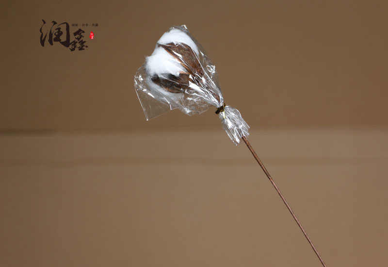 Flower Cotton Single Head Cotton Dried Flower Long Brush Holder Cotton Branch Cotton Bouquet Idyllic Decoration Whole Flower Cotton Single Head Cotton Dried Flower Long Brush Holder Cotton Branch Cotton Bouquet Idyllic Decoration Whole