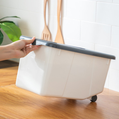 Rice Bucket Household 20 Jin Rice Bucket Insect-Proof Rice Storage Box Sealed Sliding Cover Transparent 10kg Flour Pulley Rice Pot