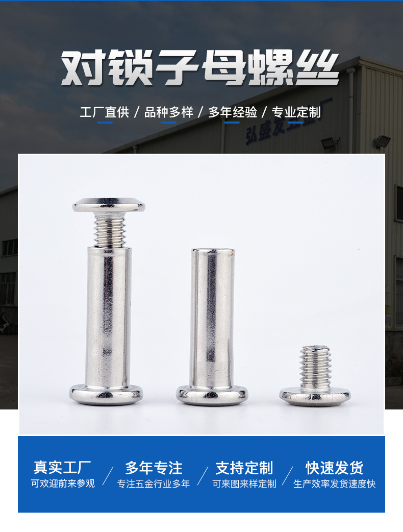 Stainless Steel 304 Flat Head Hexagon Socket Side Lock Screw round Head/Hexagon Socket/Plum Blossom Plywood Nut