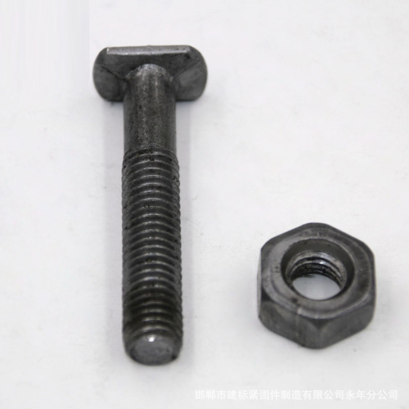 Supply Fastener Bolts T-Type Bolt with Nut Building Accessories Screws Spot Supply Fastener Screw