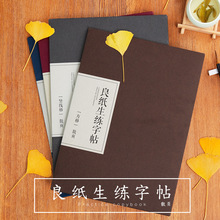 SOTI Time Creative Sticky Note PET Message Sticker Morandi Fresh Note Paper Translucent Note Sticker Wholesale