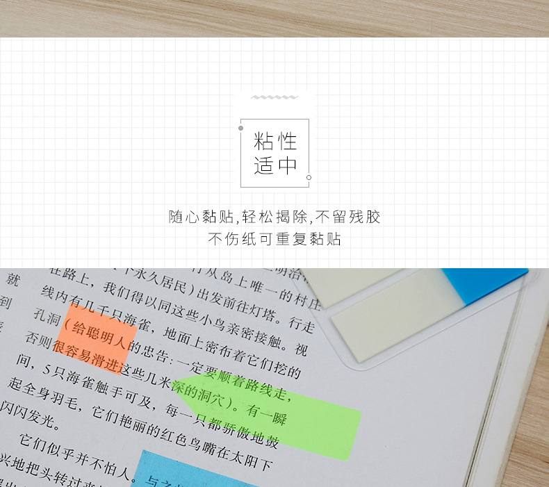 Fashion New Pet Index Label Sticky Note Fluorescent 5-Color Combination Nth Sticker Environmental Protection Sticky Note Customized Manufacturer