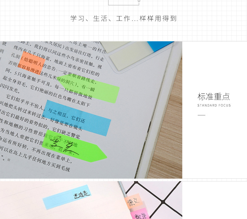 Fashion New Pet Index Label Sticky Note Fluorescent 5-Color Combination Nth Sticker Environmental Protection Sticky Note Customized Manufacturer