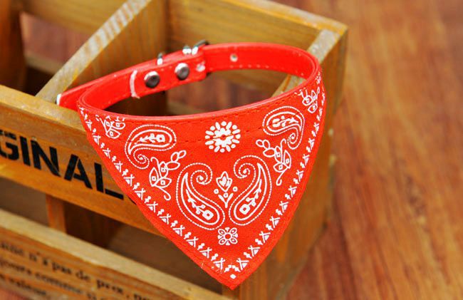 Pet Supplies Pet Collar Triangular Binder Extra Small 1.0cm Pet Scarf Scarf Collar in Stock Wholesale Pet Supplies Pet Collar Triangular Binder Extra Small 1.0cm Pet Scarf Scarf Collar in Stock Wholesale