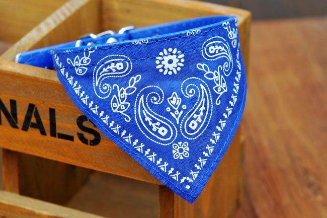 Pet Supplies Pet Collar Triangular Binder Extra Small 1.0cm Pet Scarf Scarf Collar in Stock Wholesale Pet Supplies Pet Collar Triangular Binder Extra Small 1.0cm Pet Scarf Scarf Collar in Stock Wholesale