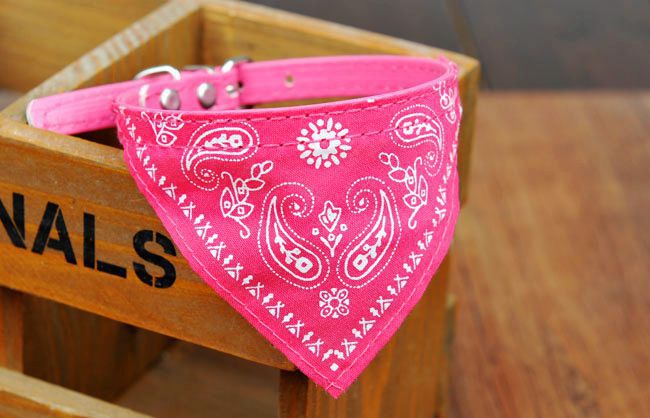 Pet Supplies Pet Collar Triangular Binder Extra Small 1.0cm Pet Scarf Scarf Collar in Stock Wholesale Pet Supplies Pet Collar Triangular Binder Extra Small 1.0cm Pet Scarf Scarf Collar in Stock Wholesale