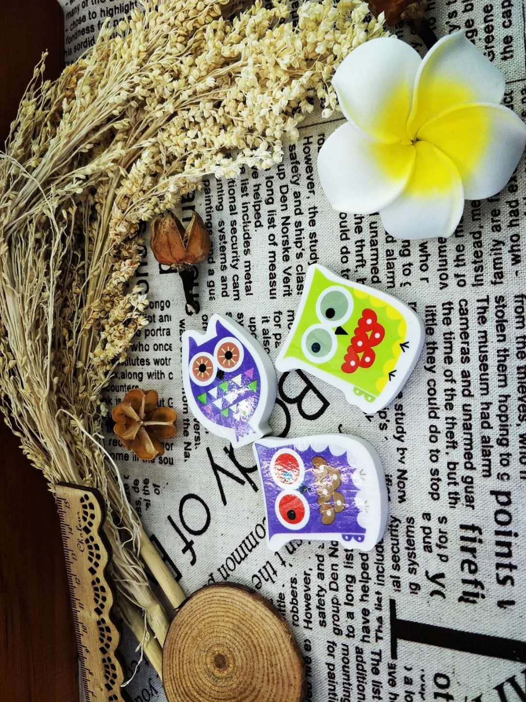 Creative Cartoon Animal Eraser Multiple Owl Types Eraser Factory Direct Sales Wholesale Price