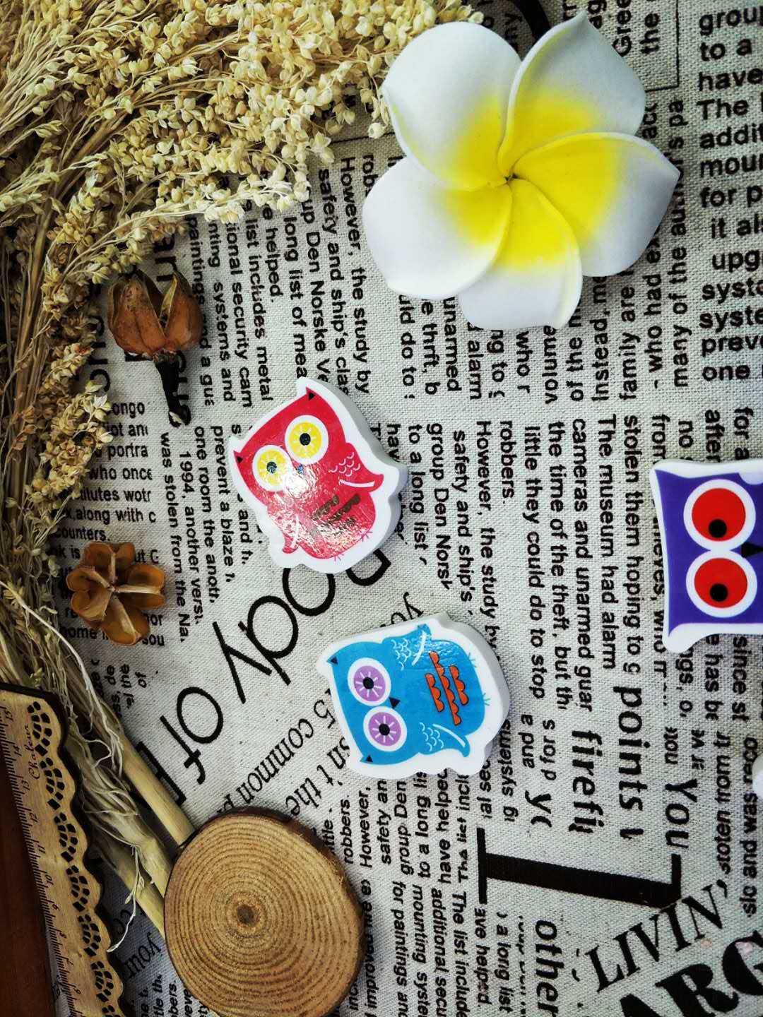 Creative Cartoon Animal Eraser Multiple Owl Types Eraser Factory Direct Sales Wholesale Price