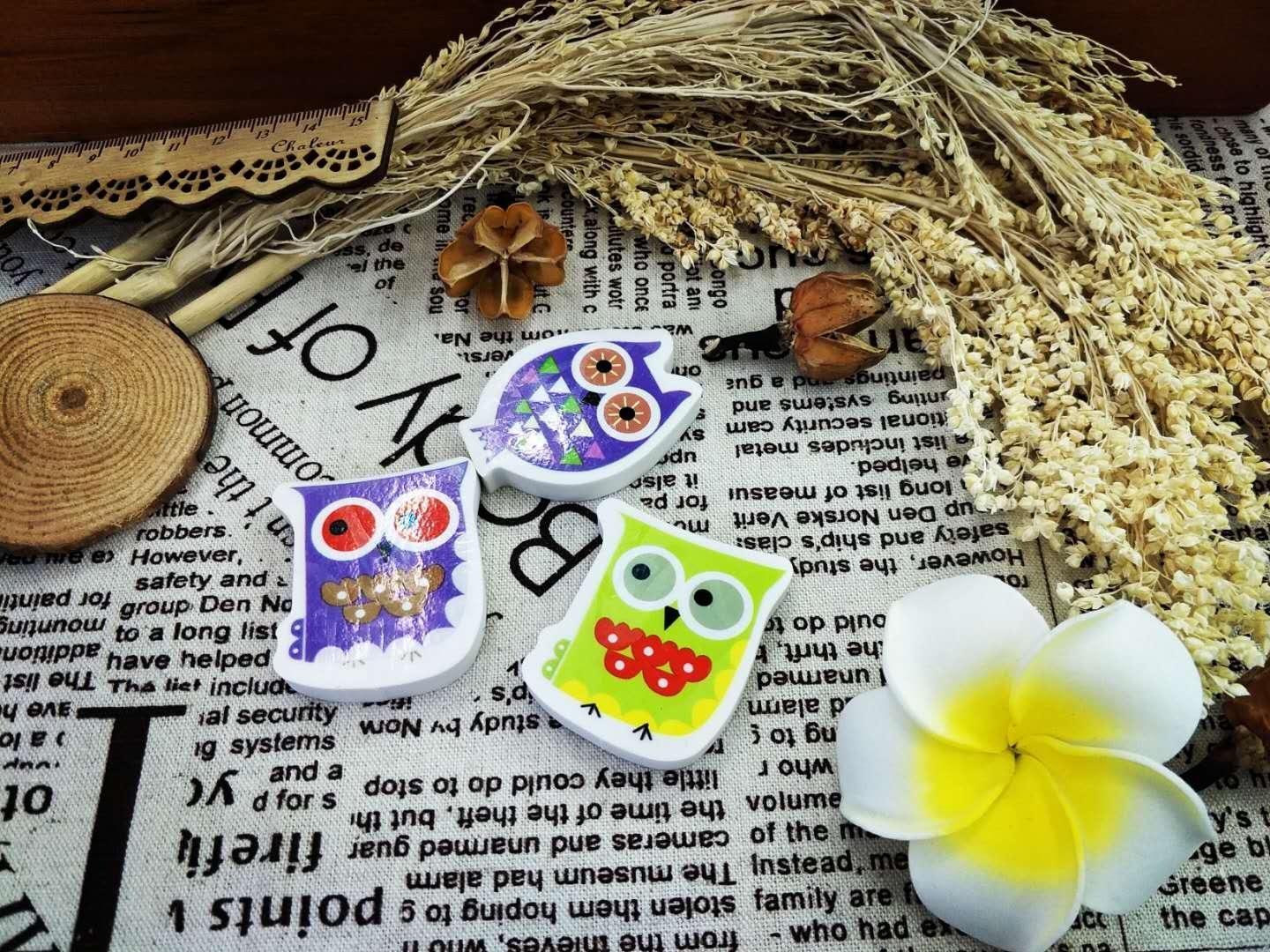 Creative Cartoon Animal Eraser Multiple Owl Types Eraser Factory Direct Sales Wholesale Price Creative Cartoon Animal Eraser Multiple Owl Types Eraser Factory Direct Sales Wholesale Price