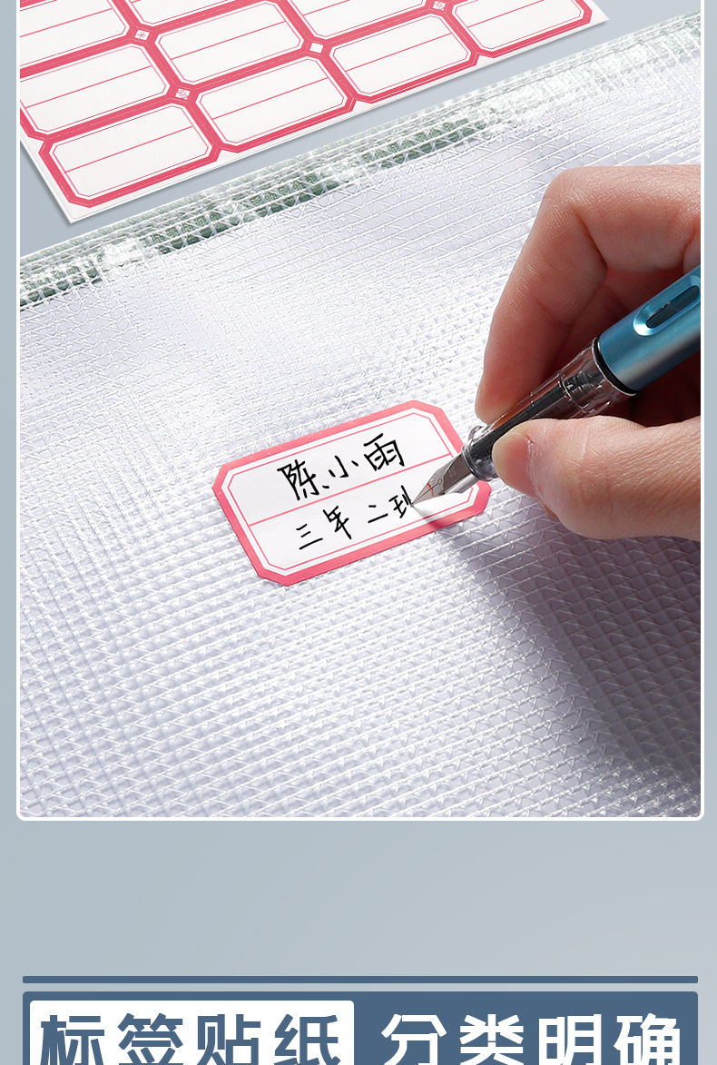 A4 File Storage Bag Zipper Grid Transparent Plastic Folder Bag Information Bag Large Capacity for Students A4 File Storage Bag Zipper Grid Transparent Plastic Folder Bag Information Bag Large Capacity for Students