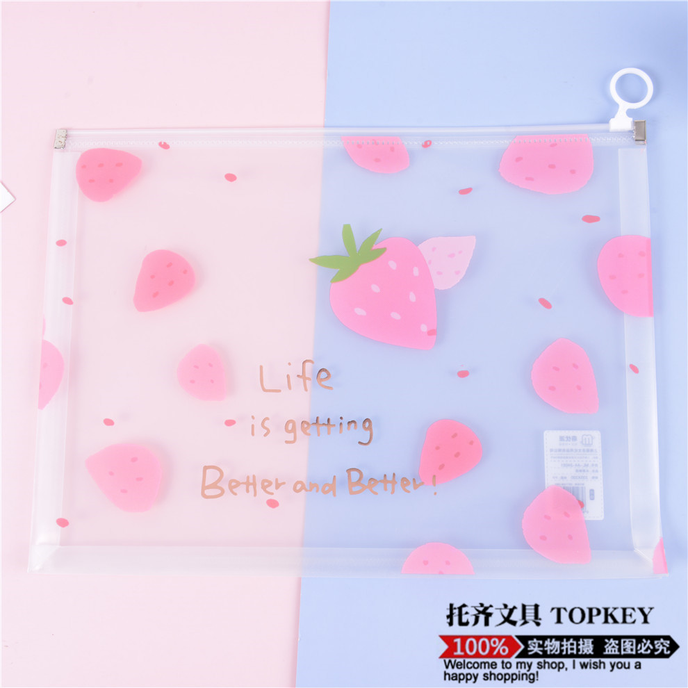 File Bag Large Capacity Zipper Birth Inspection File Bag Family Information Thickened Waterproof Transparent Plastic Briefbag