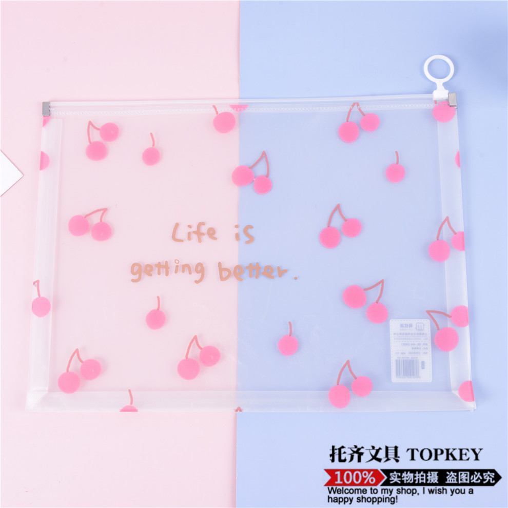 File Bag Large Capacity Zipper Birth Inspection File Bag Family Information Thickened Waterproof Transparent Plastic Briefbag
