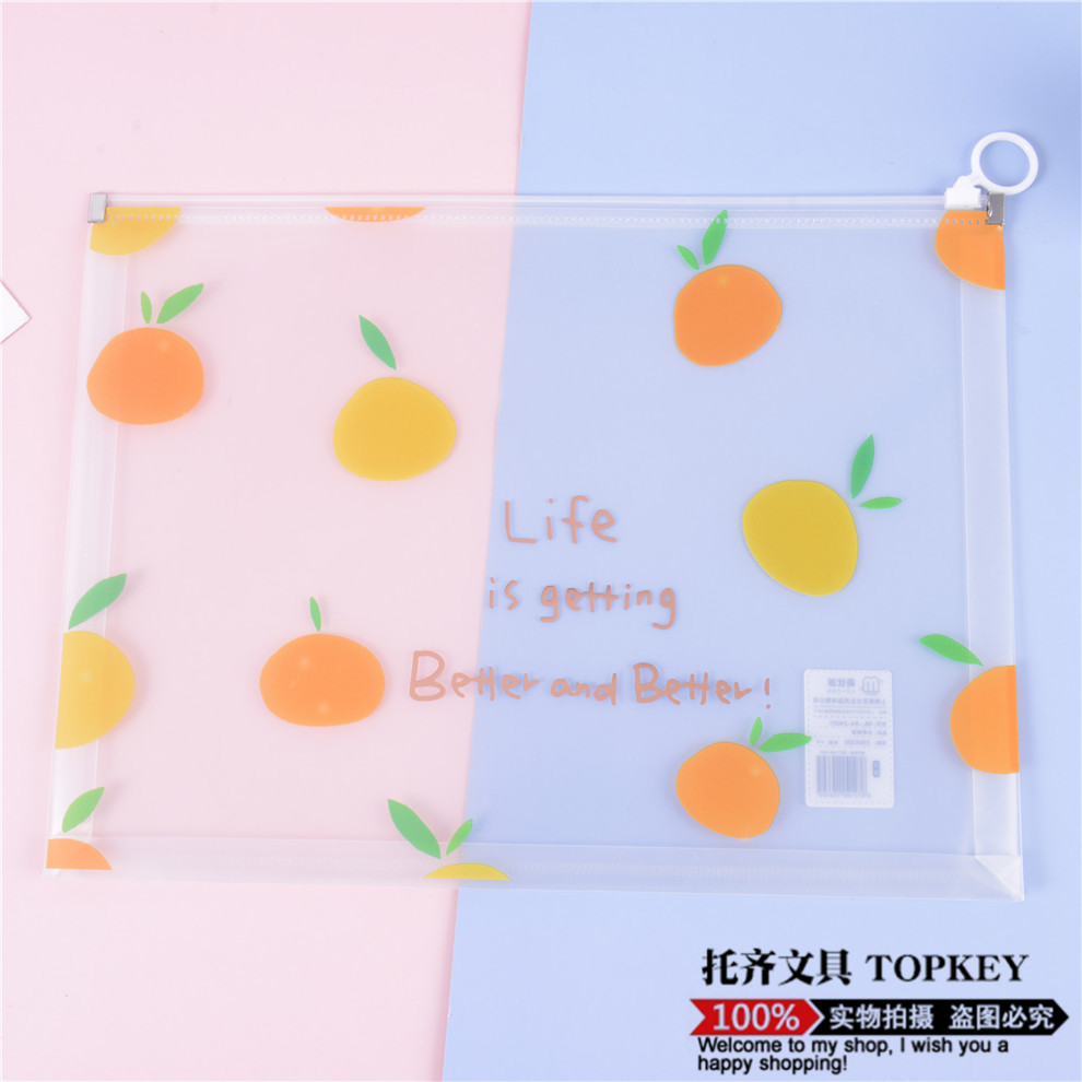 File Bag Large Capacity Zipper Birth Inspection File Bag Family Information Thickened Waterproof Transparent Plastic Briefbag