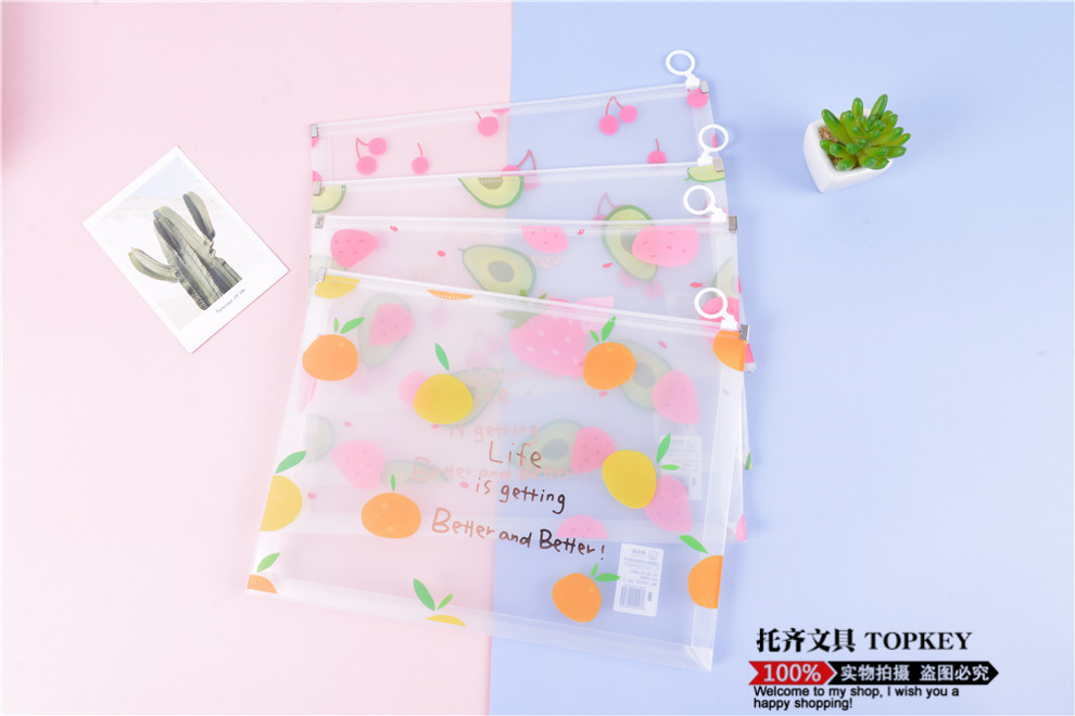 File Bag Large Capacity Zipper Birth Inspection File Bag Family Information Thickened Waterproof Transparent Plastic Briefbag