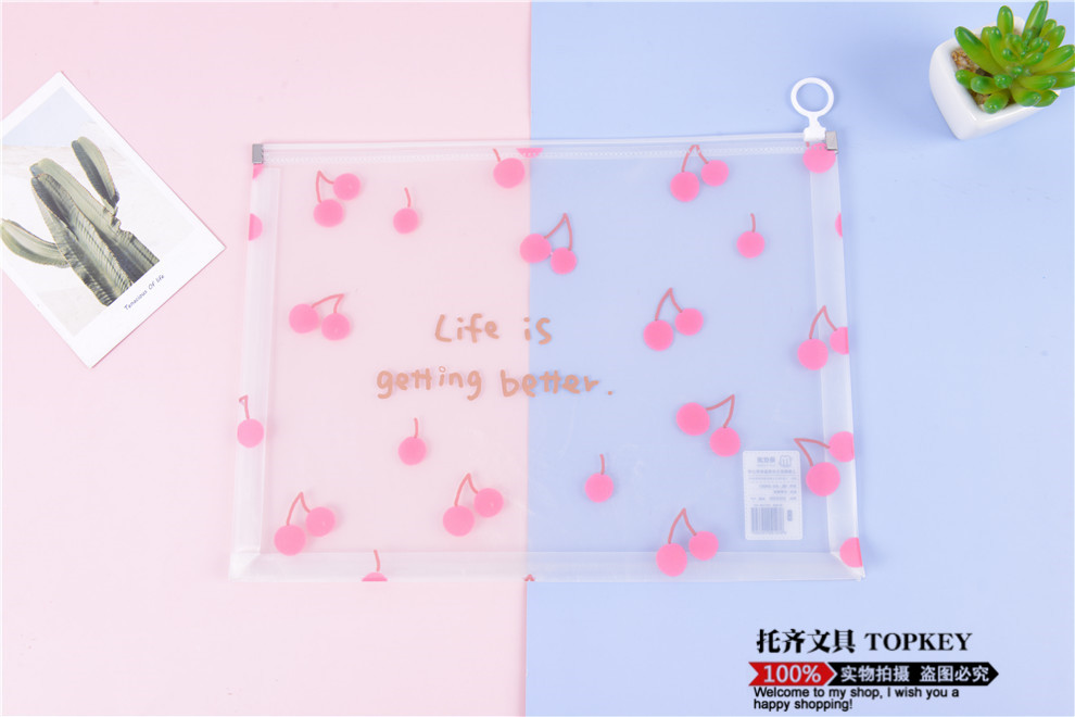 File Bag Large Capacity Zipper Birth Inspection File Bag Family Information Thickened Waterproof Transparent Plastic Briefbag