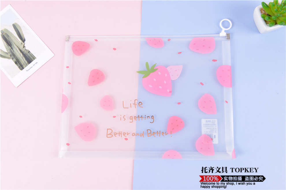 File Bag Large Capacity Zipper Birth Inspection File Bag Family Information Thickened Waterproof Transparent Plastic Briefbag