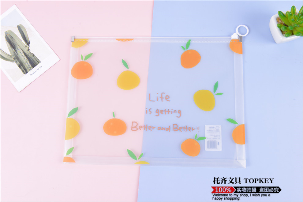 File Bag Large Capacity Zipper Birth Inspection File Bag Family Information Thickened Waterproof Transparent Plastic Briefbag