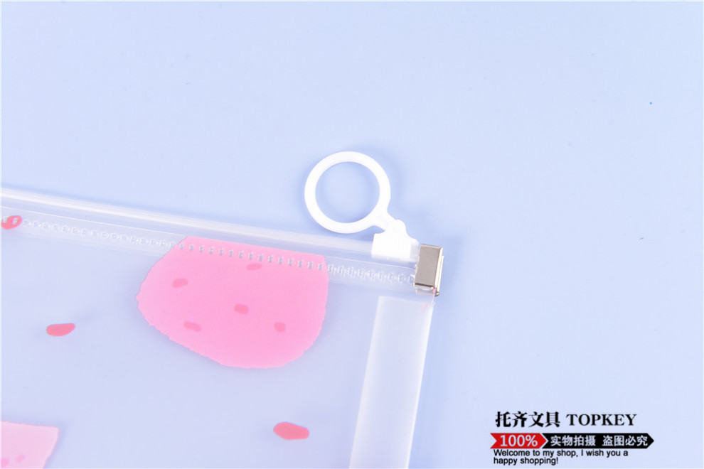 File Bag Large Capacity Zipper Birth Inspection File Bag Family Information Thickened Waterproof Transparent Plastic Briefbag