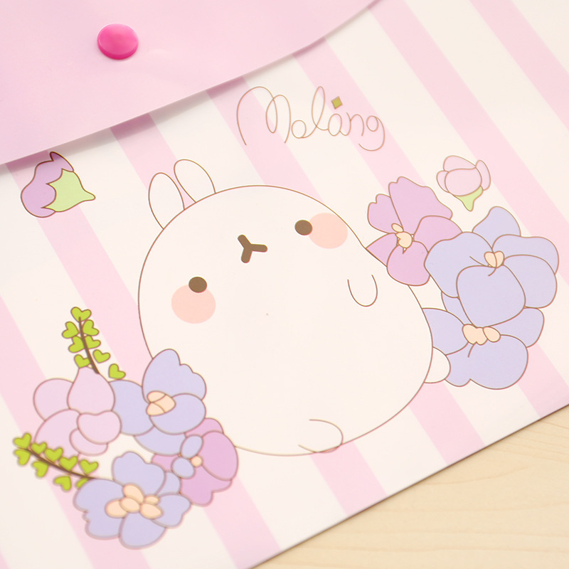 Korean Style Student Cute A4 Test Paper File Bag Fresh Floral Transparent Folder Snap Information Bag Office Supplies