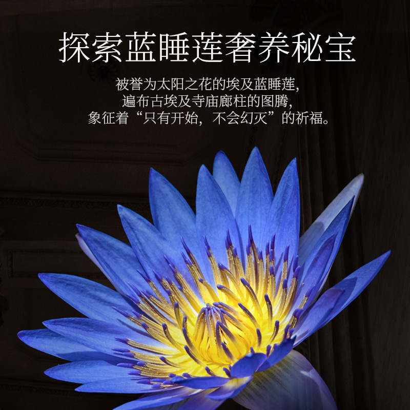 Blue Water Lily Split Yeast Water and Lotion Set Hydrating Essence Moisturizing Balance Repair Skin Water Lotion Skin Care Products