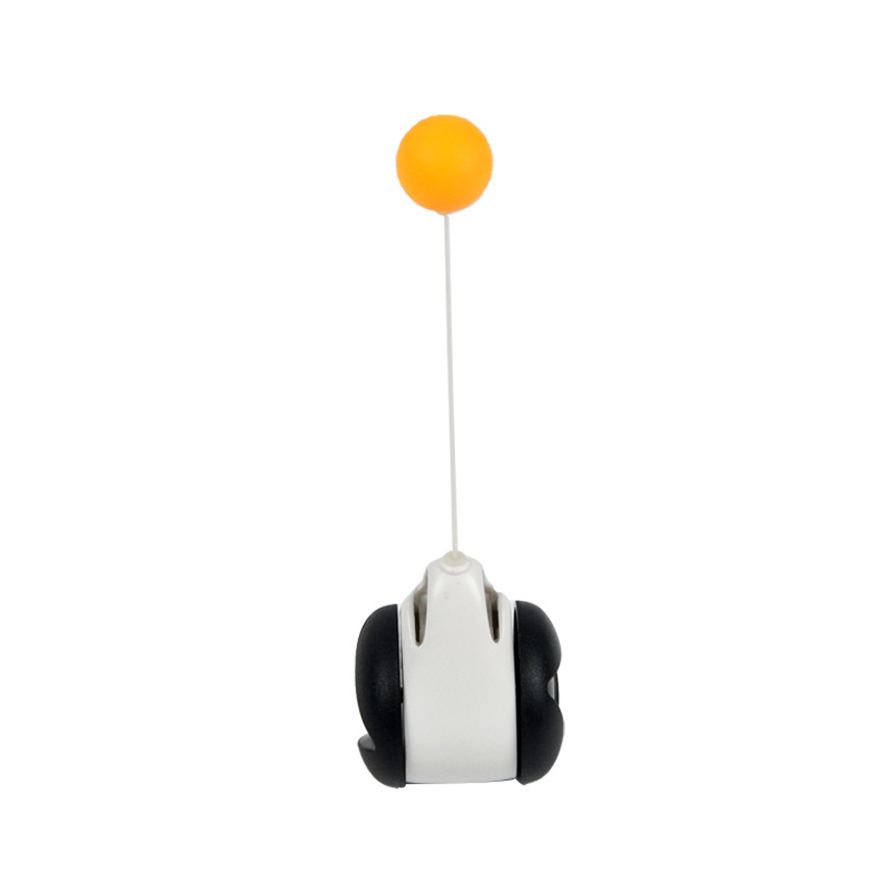Amazon New Pet Supplies Balance Swing Car Cat Self-Hi Toy Funny Cat Stick Cat Toy Entertainment Plate