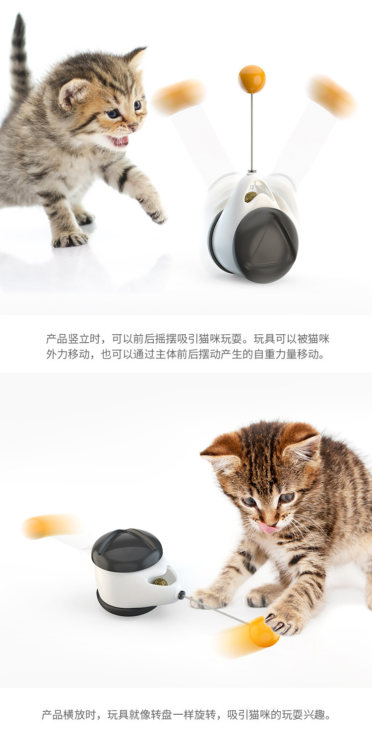 Amazon New Pet Supplies Balance Swing Car Cat Self-Hi Toy Funny Cat Stick Cat Toy Entertainment Plate