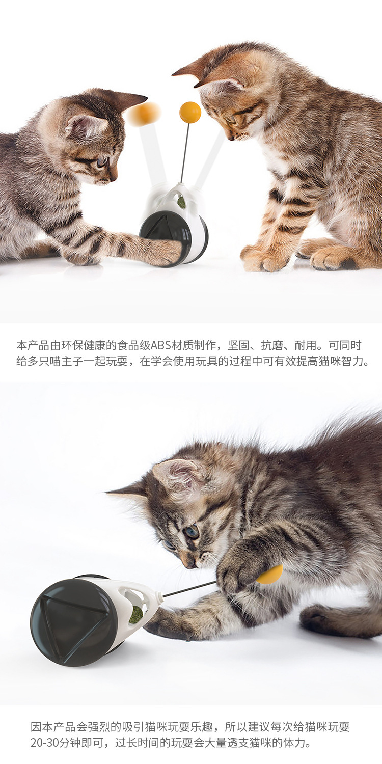 Amazon New Pet Supplies Balance Swing Car Cat Self-Hi Toy Funny Cat Stick Cat Toy Entertainment Plate