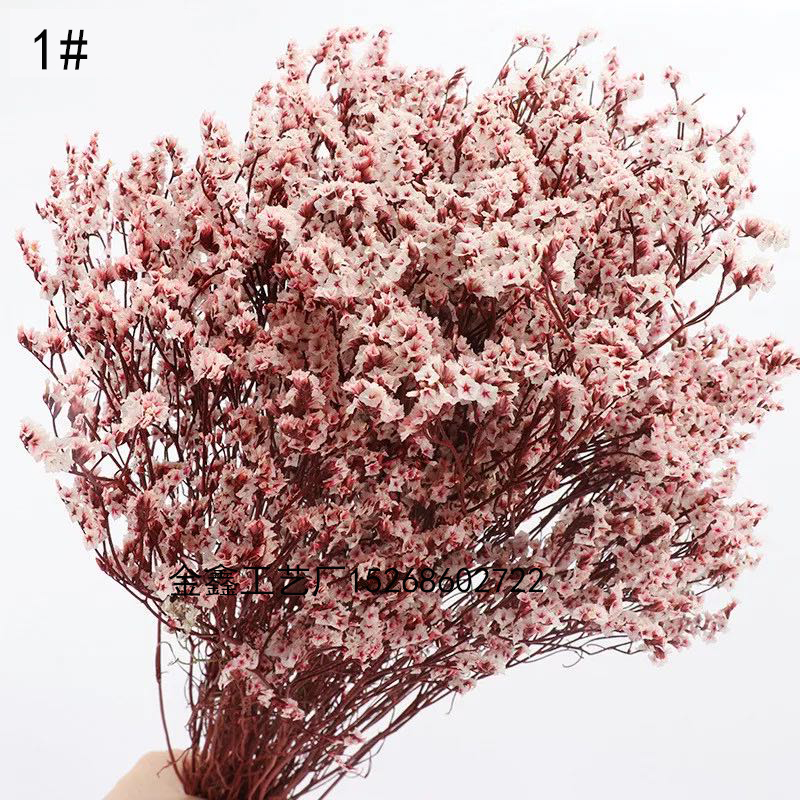  Crystal Grass Natural Fresh Dried Preserved Forget me Flowers,Real Forever Lover Grass Branch For Home Decor