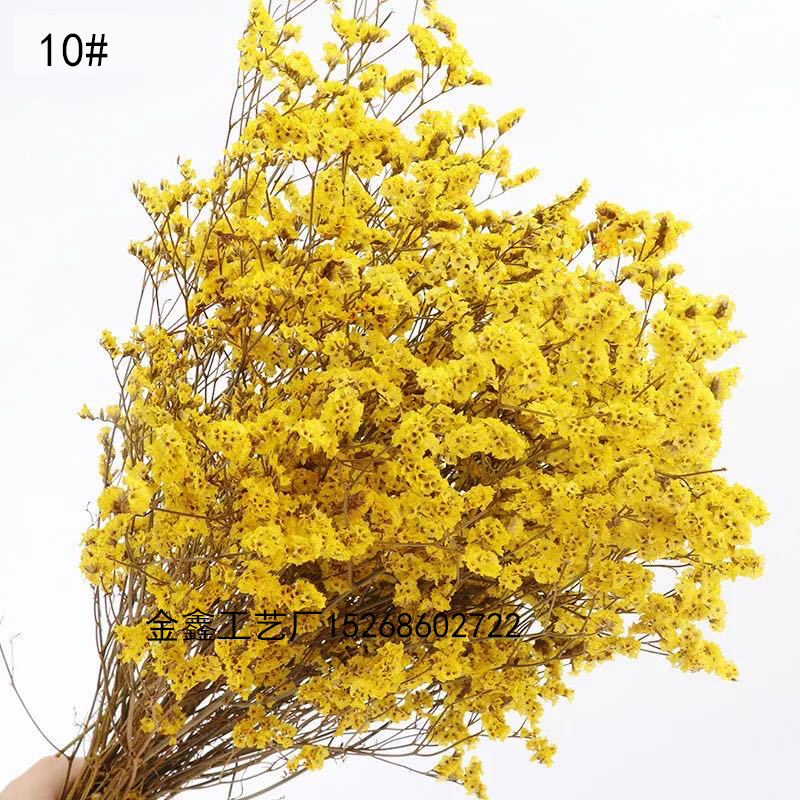  Crystal Grass Natural Fresh Dried Preserved Forget me Flowers,Real Forever Lover Grass Branch For Home Decor