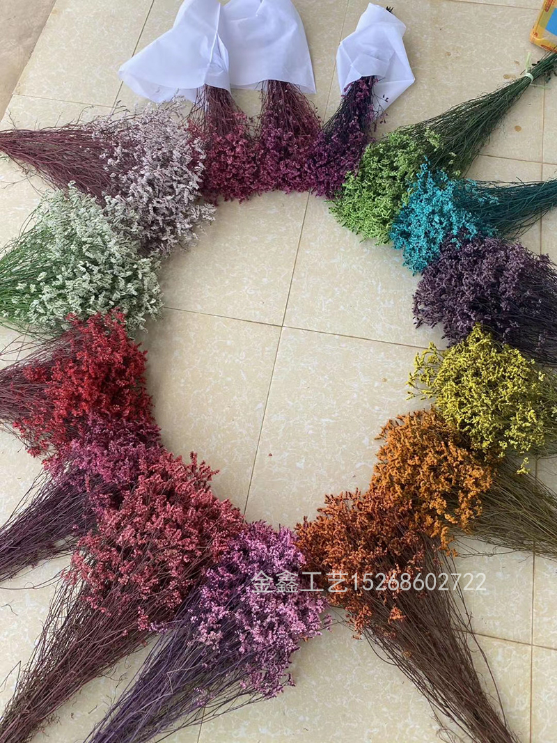  Crystal Grass Natural Fresh Dried Preserved Forget me Flowers,Real Forever Lover Grass Branch For Home Decor