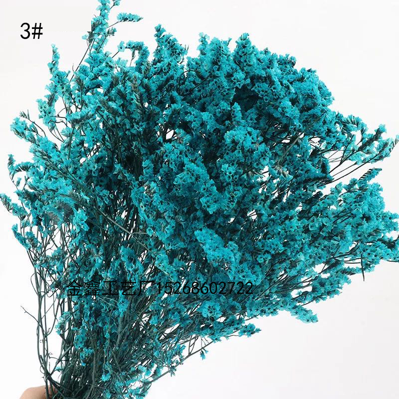  Crystal Grass Natural Fresh Dried Preserved Forget me Flowers,Real Forever Lover Grass Branch For Home Decor