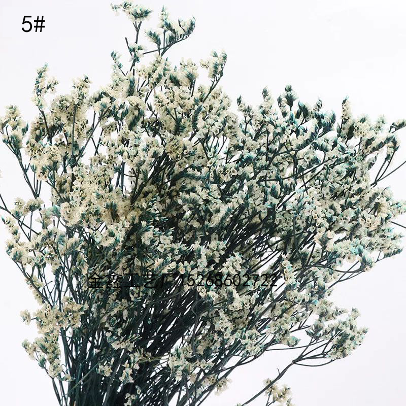  Crystal Grass Natural Fresh Dried Preserved Forget me Flowers,Real Forever Lover Grass Branch For Home Decor