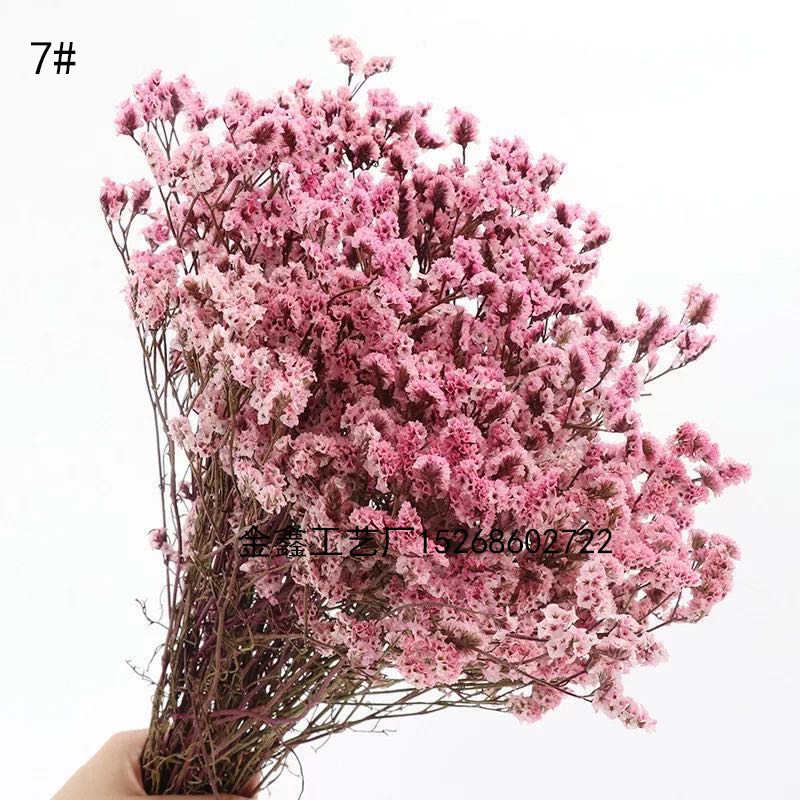  Crystal Grass Natural Fresh Dried Preserved Forget me Flowers,Real Forever Lover Grass Branch For Home Decor
