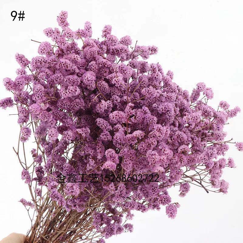  Crystal Grass Natural Fresh Dried Preserved Forget me Flowers,Real Forever Lover Grass Branch For Home Decor