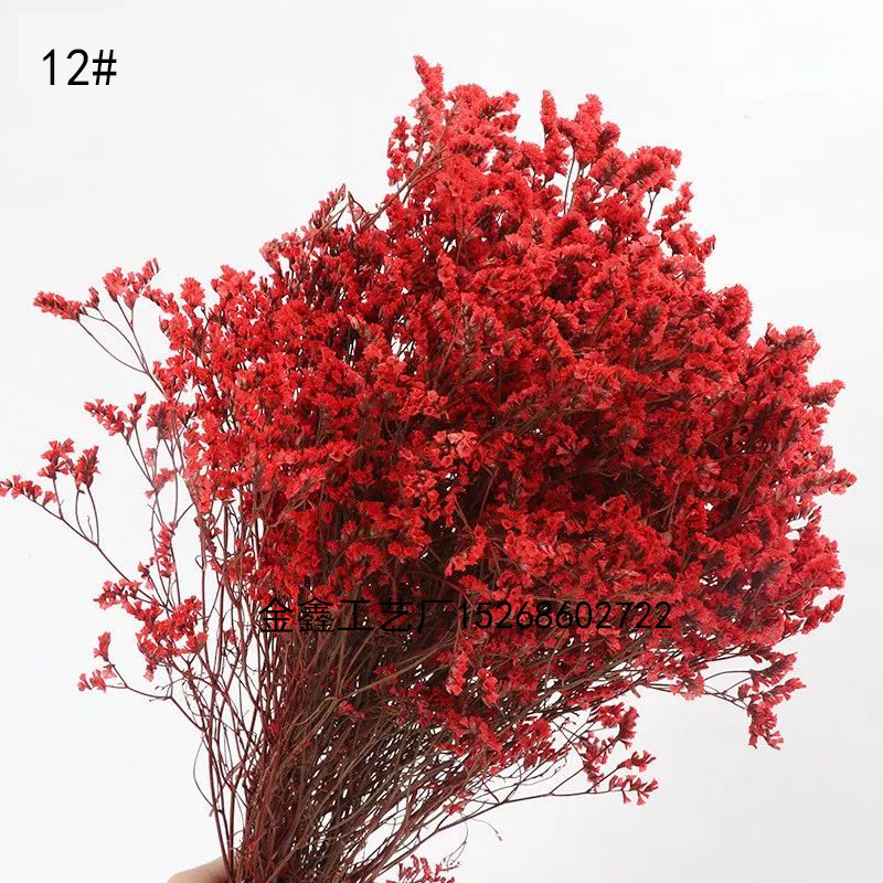  Crystal Grass Natural Fresh Dried Preserved Forget me Flowers,Real Forever Lover Grass Branch For Home Decor