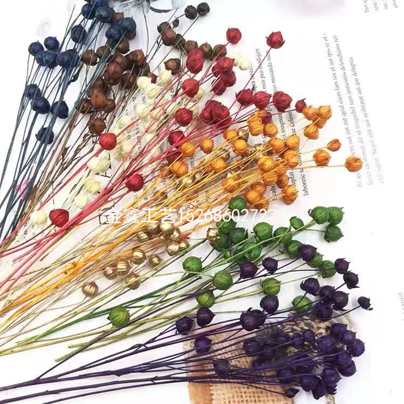 1 bunch Dried Flower Bouquets Artificial Flower Colorful acacia bean dry Bouquets Handmade Home Decor DIY Handicraft Flo