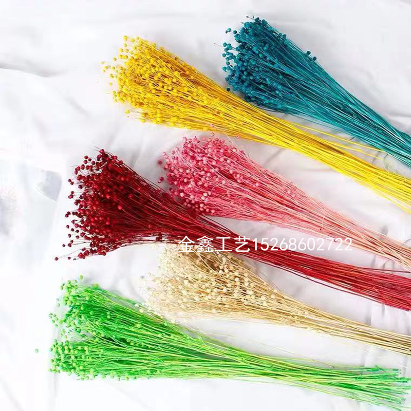 1 bunch Dried Flower Bouquets Artificial Flower Colorful acacia bean dry Bouquets Handmade Home Decor DIY Handicraft Flo