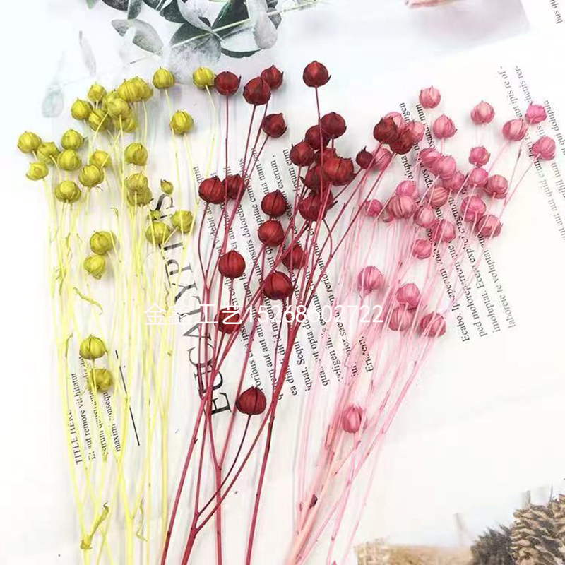 1 bunch Dried Flower Bouquets Artificial Flower Colorful acacia bean dry Bouquets Handmade Home Decor DIY Handicraft Flo