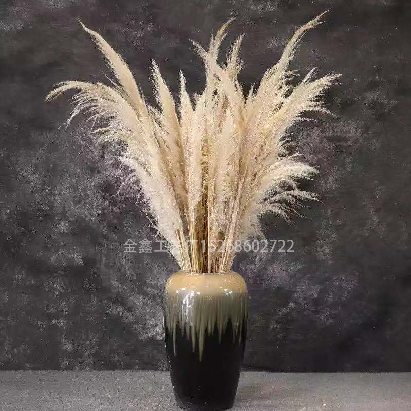 Dried big Pampas Grass Flowers Artificiales Para Decoracion Real Plants Home Decor Wedding Decoration
