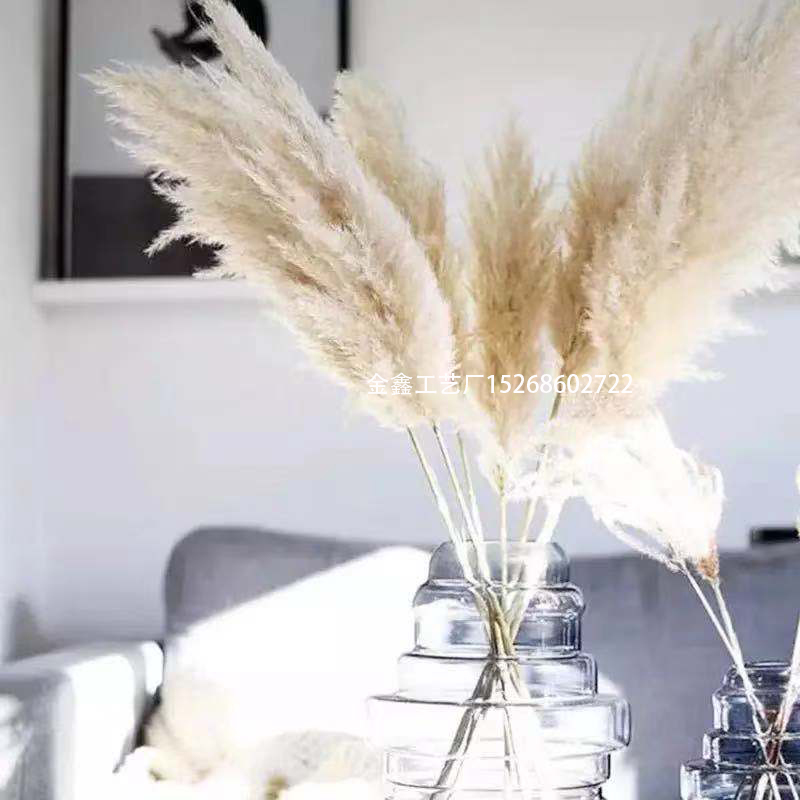 Dried big Pampas Grass Flowers Artificiales Para Decoracion Real Plants Home Decor Wedding Decoration