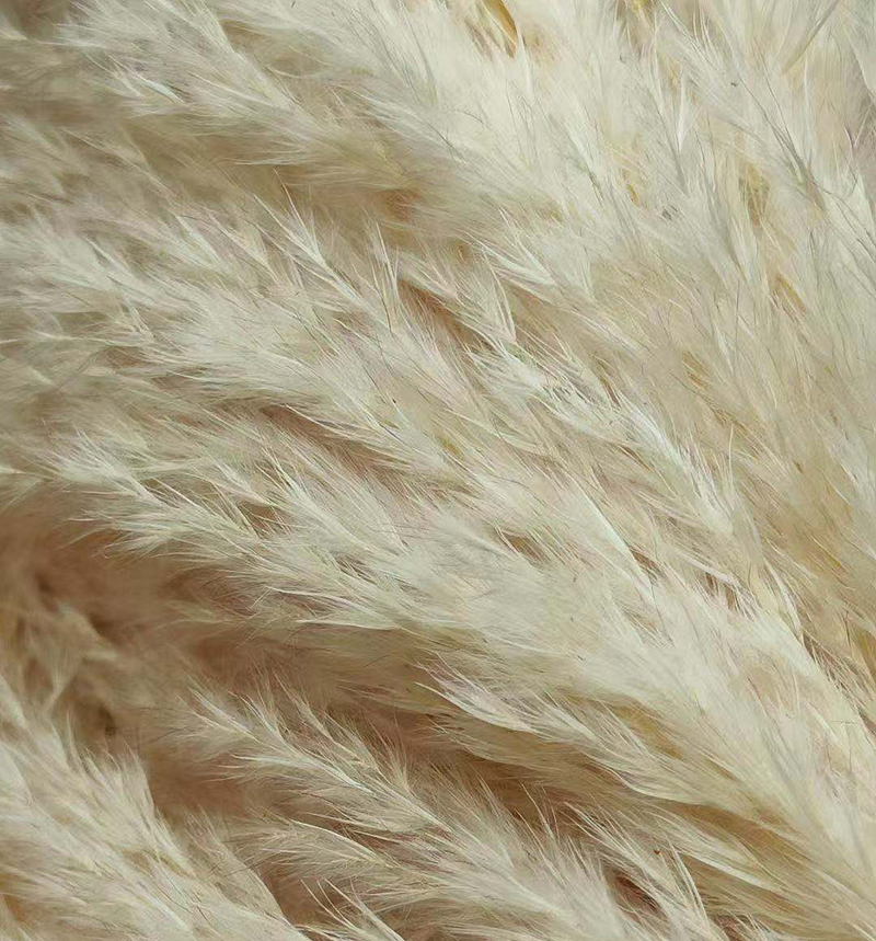 Dried big Pampas Grass Flowers Artificiales Para Decoracion Real Plants Home Decor Wedding Decoration