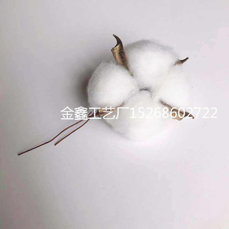 White Cotton Florist Supplies Wedding Car Decorative Wreaths Christmas Home Decor Diy Gifts Box Cheap Artificial Flowers