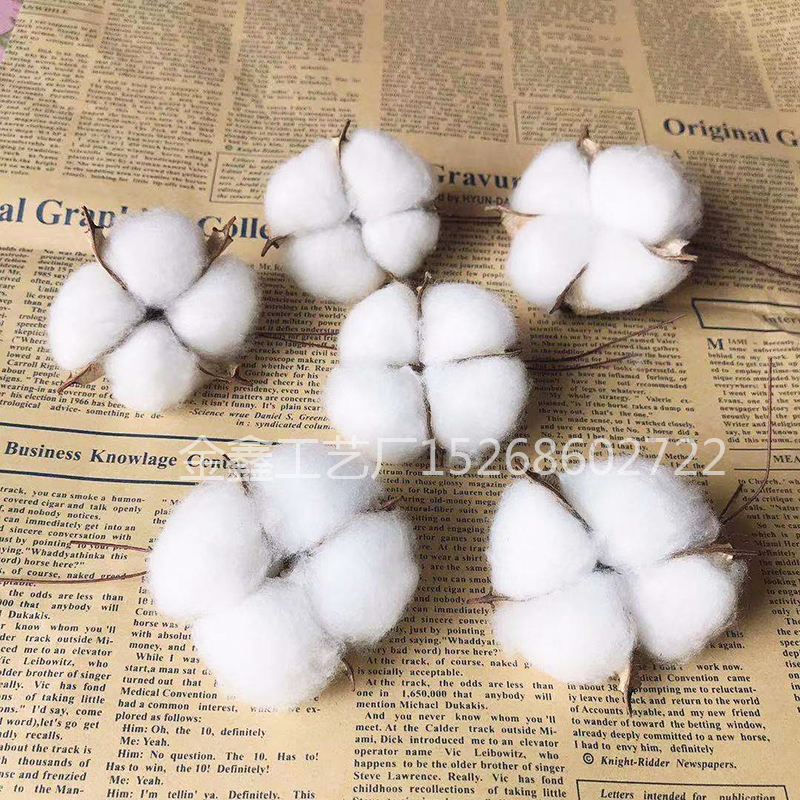 White Cotton Florist Supplies Wedding Car Decorative Wreaths Christmas Home Decor Diy Gifts Box Cheap Artificial Flowers White Cotton Florist Supplies Wedding Car Decorative Wreaths Christmas Home Decor Diy Gifts Box Cheap Artificial Flowers