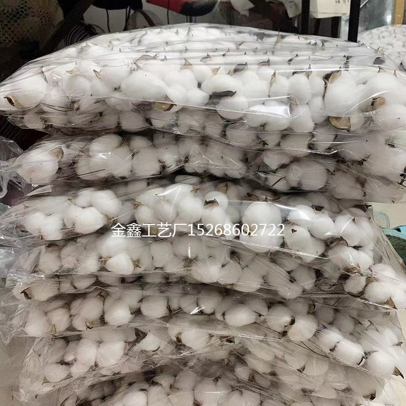 White Cotton Florist Supplies Wedding Car Decorative Wreaths Christmas Home Decor Diy Gifts Box Cheap Artificial Flowers White Cotton Florist Supplies Wedding Car Decorative Wreaths Christmas Home Decor Diy Gifts Box Cheap Artificial Flowers